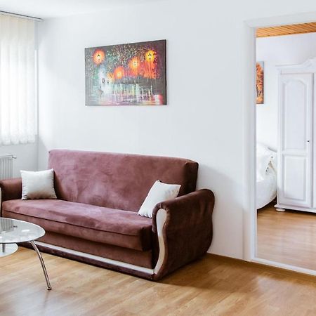 Ultracentral Apartment Suceava Dış mekan fotoğraf