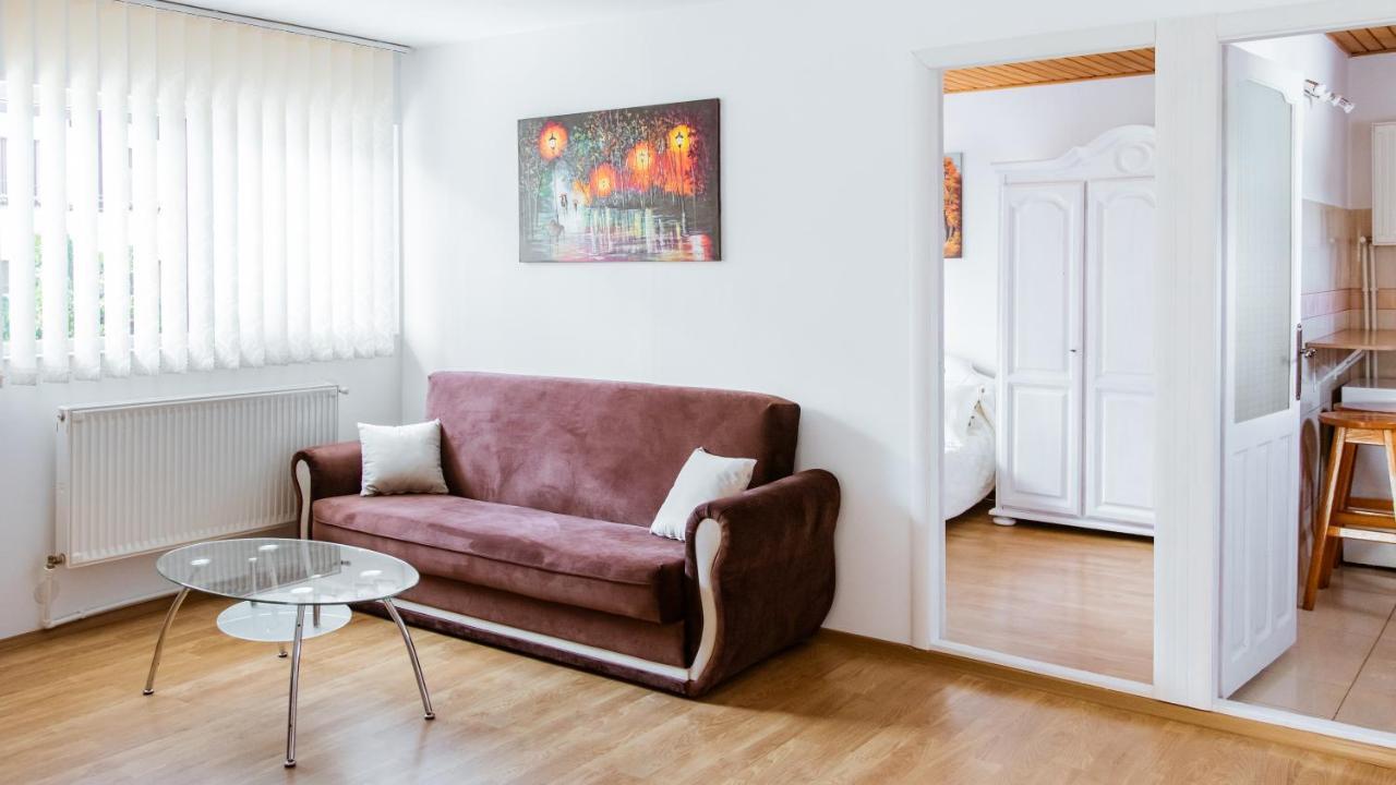 Ultracentral Apartment Suceava Dış mekan fotoğraf